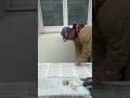 17 ноября 2025 г.