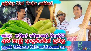 ඩුබායි රටට bye කියා හරිතාගාර ගොවි තැනෙන් සැදෑ සමය ගත කරන යුවල 0716028824