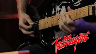 Ted Nugent - Stormtroopin GUITAR COVER