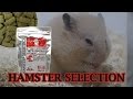 ハムスターの主食ハムスターセレクションを食べるハムスター【Hamster food】HAMSTER SELECTION