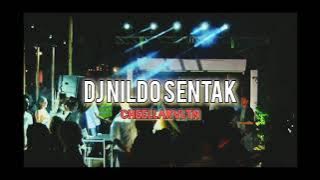DJ NILDO PARTY BASS SENTAK 2025 TERBARU ||