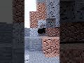 Maxwell The Cat Makes His First Purchase In Minecraft 