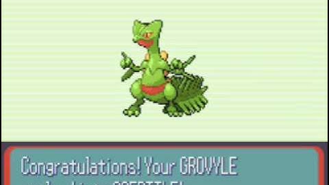 Pokemon Ruby Walkthrough Part 30