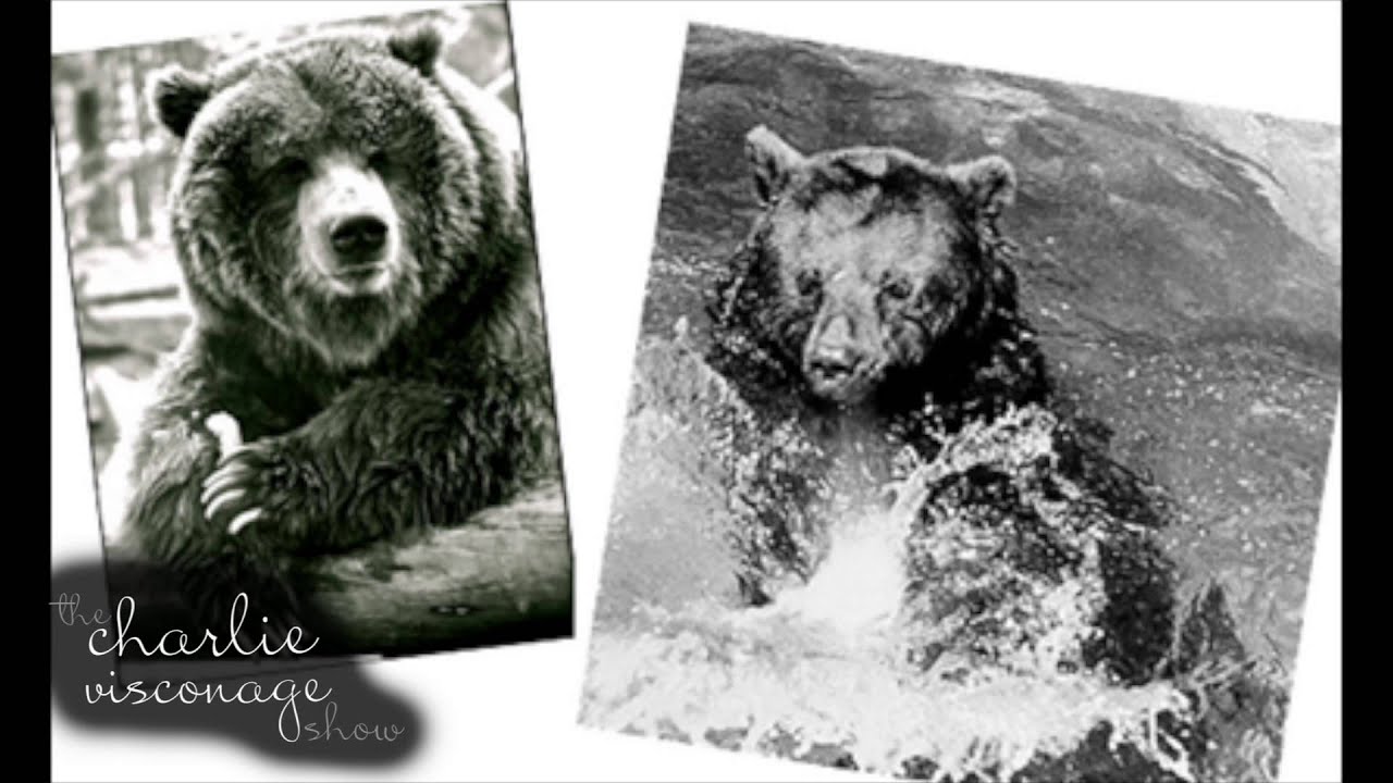 Smokey the bear youtube
