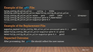 Mastering Gene Header Replacement in .gff3 Files Using awk and sed