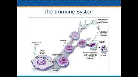 Immune Deficiency & It