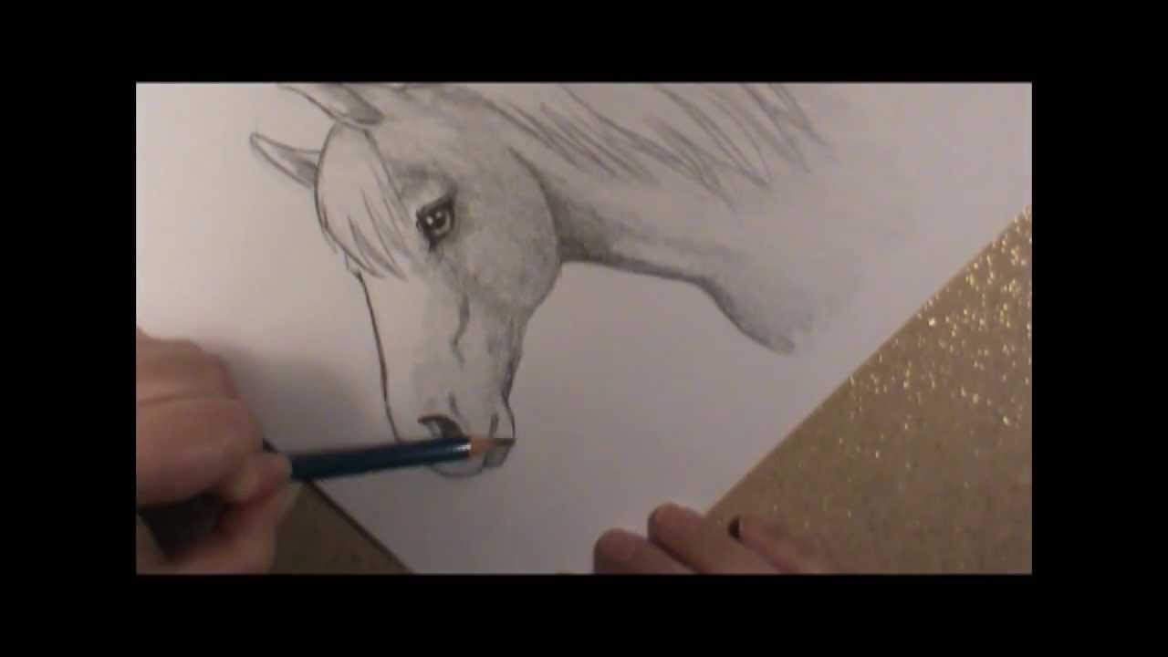 How to Draw a Horse head! - YouTube