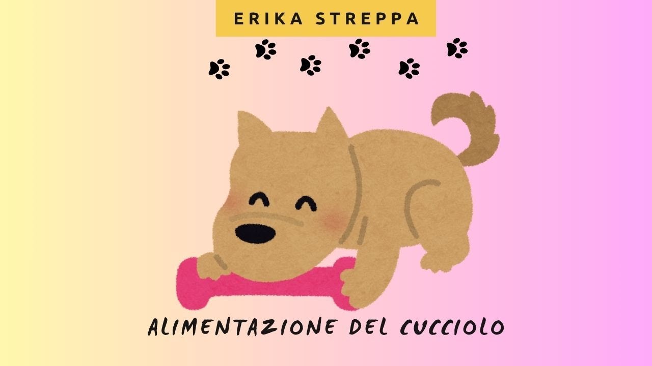 ALIMENTAZIONE DEL CUCCIOLO - CONSIGLI E CURIOSITA'