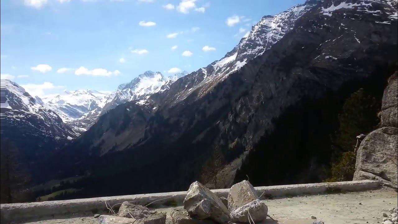 Альпа видео. Альпа видео