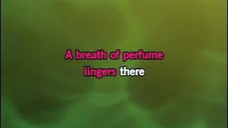 Elvis Presley - Anything That's Part Of You [Karaoke Version]