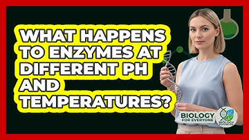 What Happens To Enzymes At Different pH And Temperatures? - Biology For Everyone