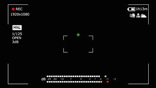 Mentahan Efek Vintage(VHS)KineMaster