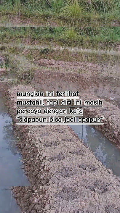 Siapapun Bisa Jadi Apapun -KATA KATA MOTIVASI