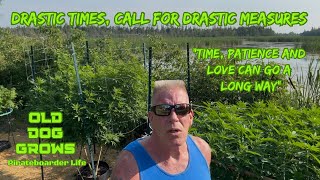 ODG’s Drastic Times, Call for Drastic Measures…”Time, Patience and Love Can Go a Long Way 