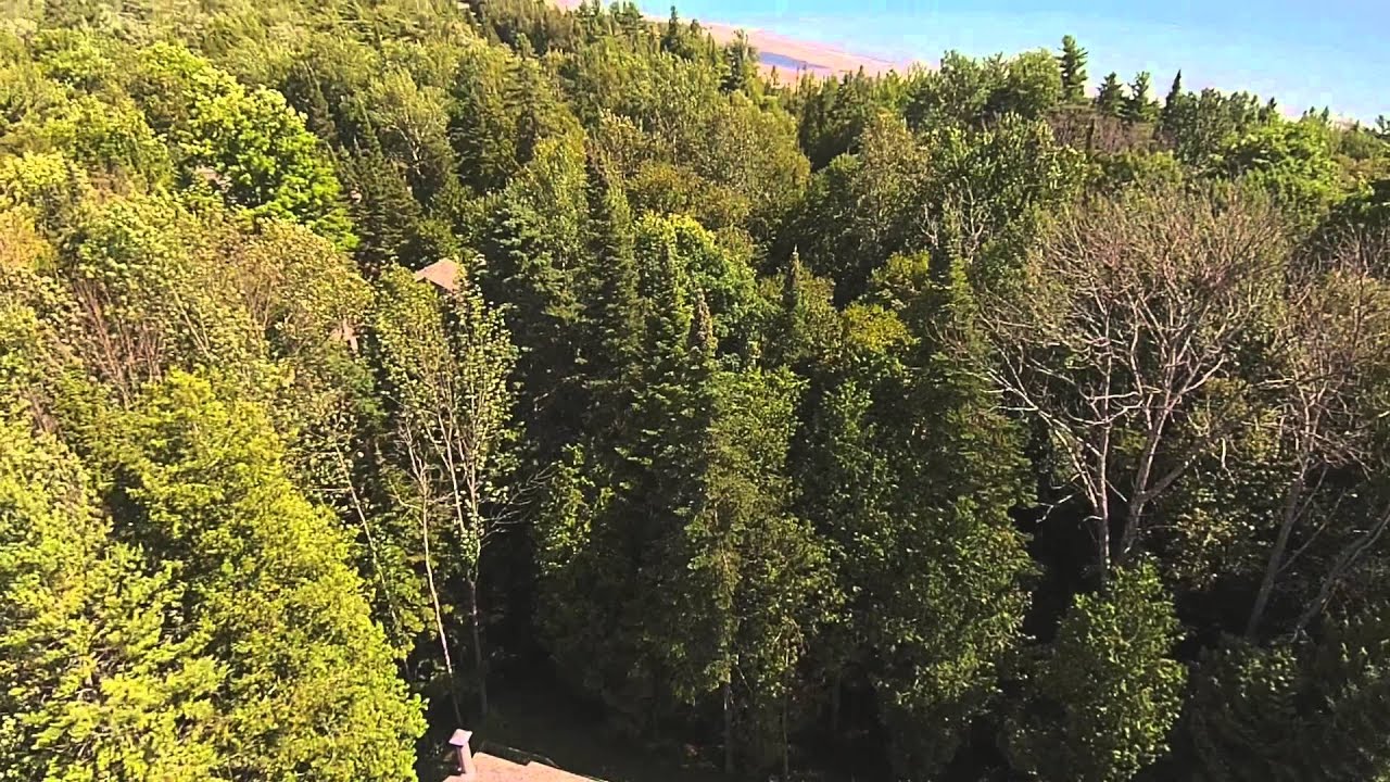 harbor springs airport Harbor Cove Condo, branded