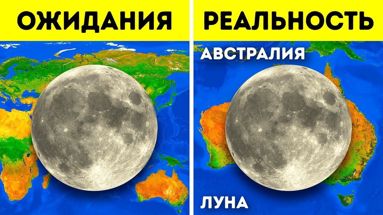 51 факт, который доказывает, что наш мир — довольно странное место