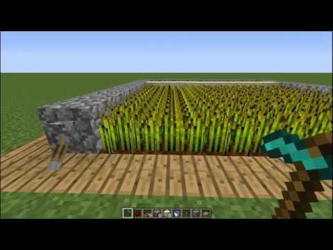 COME FARE LA FARM DI ORO INFINITO!! - Tutorial Minecraft 