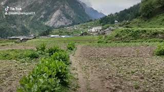 Dharma valley village baling....