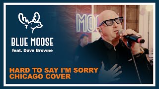 Chicago Fans Will Love This – Hard to Say I’m Sorry – Blue Moose & Dave Browne