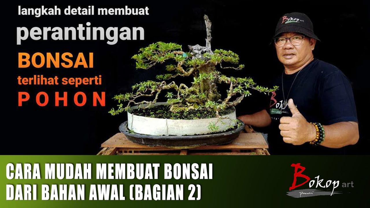 CARA MUDAH MEMBUAT BONSAI DARI BAHAN AWAL (bagian 2)