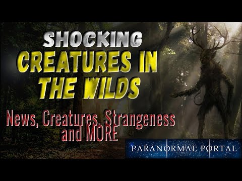 SHOCKING CREATURES IN THE WILDS - News, Creatures, Strangeness and MORE