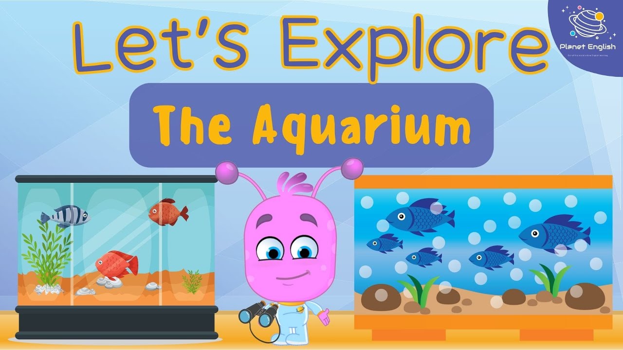 Let's Explore the Aquarium for Kindergarten | EYFS