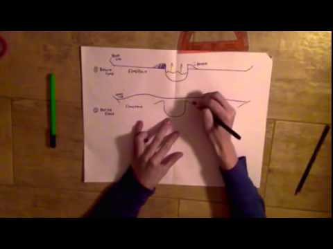 Floodplains and Levees
