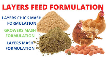 Layers Feed Formulation| How To Make Poultry Feed at Home At Home
