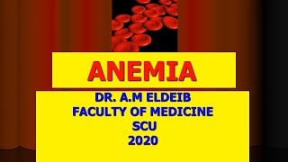 Approach to Patient with Anemia