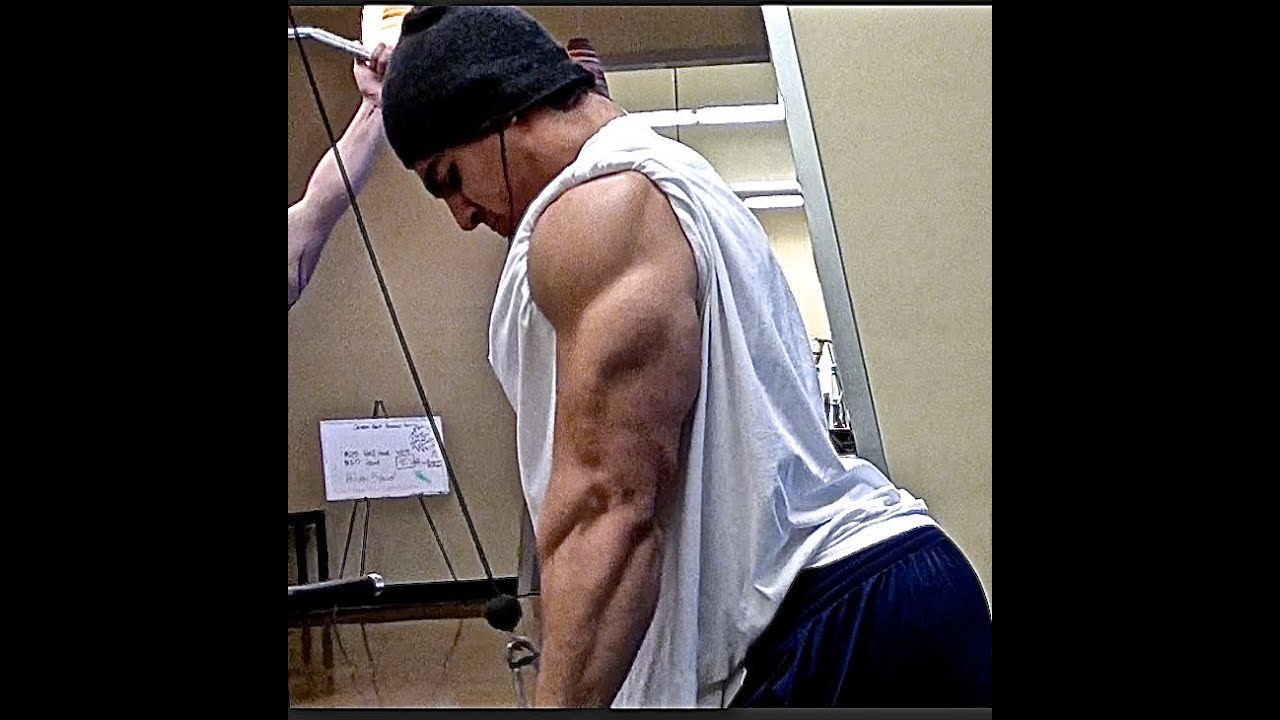 Chris Lavado Triceps Pushdowns