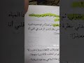 تحقيقات نوح الالفي قضيه لوز مر ميرنا المهدي