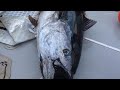 Tuna Fish . #fishcutting_skills #fishcuttingskill #gymlife