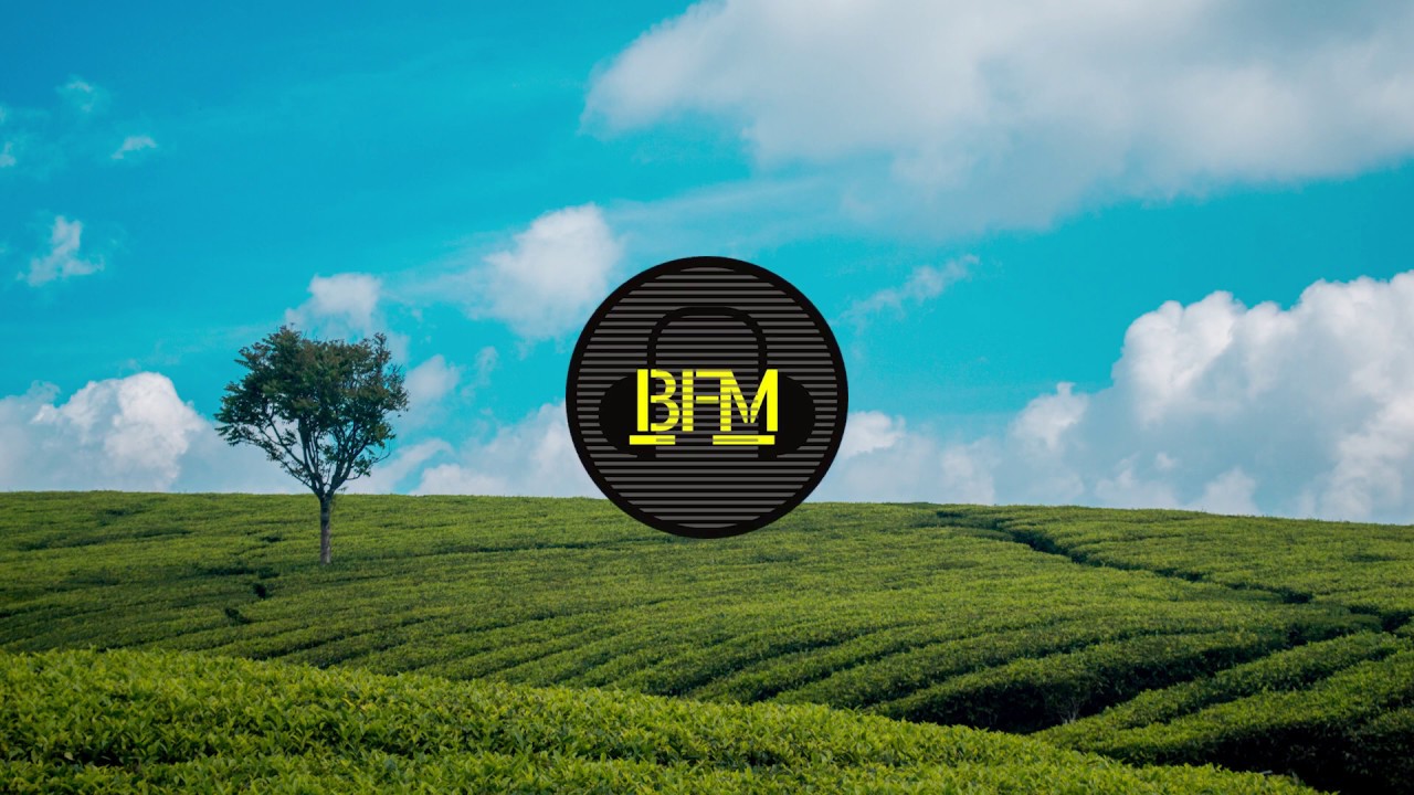 Jarico - Island | BFM - Background Free Music | [No Copyright Music ...