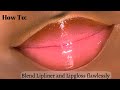 HOW TO : ONLY LIP LINER AND GLOSS APPLICATION | YUMMY PEACHY LIPS | GLASS GLOSS