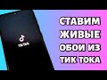 Как поставить живые обои из Тик Тока: в том числе на экран блокировки!