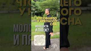 Что общего у крепкого сна, молодости и... пяток? #восточнаямедицина  #цигун  #здоровье