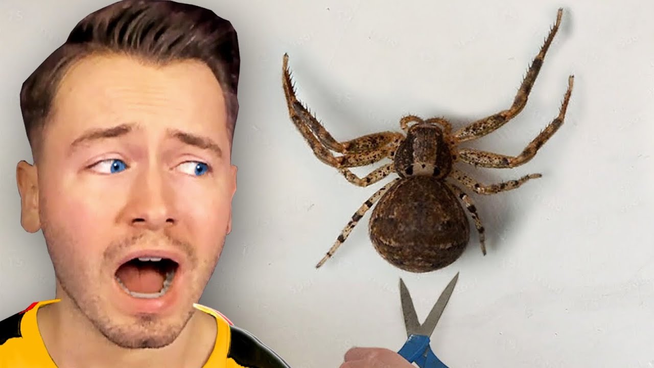 100 GRUSELIGE SPINNEN Videos die du NICHT alleine gucken solltest!😱