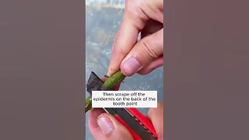 Extracting Roses With Sand Garden Agriculture Gardening 