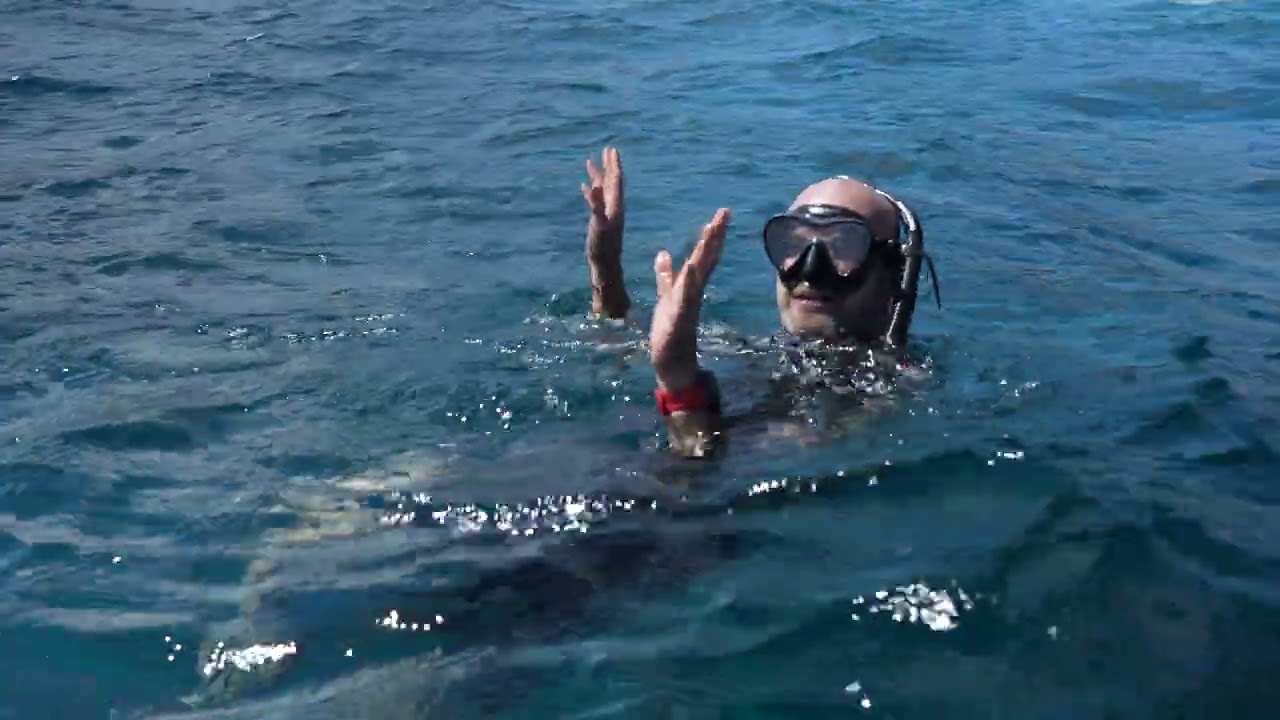 ⁣HX Expeditions | Galápagos | Life Below the Surface – Episode 5