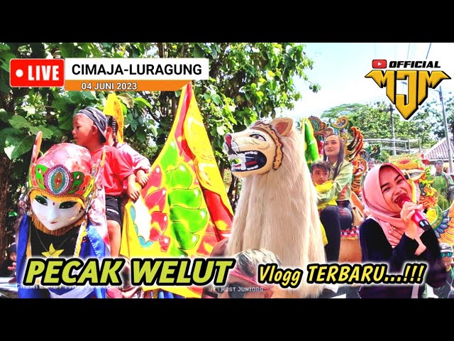 Burok MJM Song:Pecak Welut Live Cimaja Kuningan 04-06-23 class=