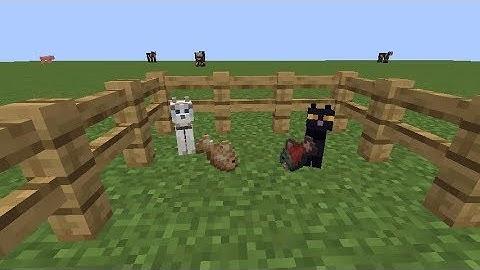 Minecraft 1.14.4:How to tame a cat