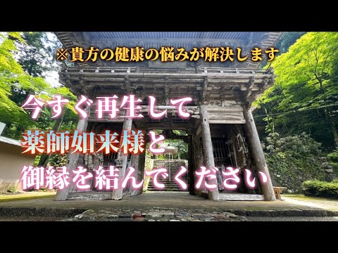 【健康の悩みが解決します!】今すぐ再生して薬師如来様と御縁を結んでください🌈✨【横蔵寺】
