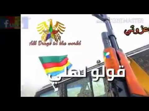 السويداء اهل الكرم