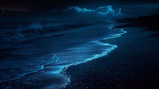 Rhythmic Tides | Lose Yourself in the Endless Dance of the Sea