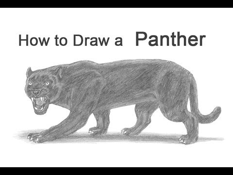 How to Draw a Black Panther - YouTube