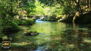 4K video + natural environment sound ASMR / The Enbara River with amazingly beautiful water.