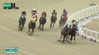 Vidéo de la course PMU CLASS 4