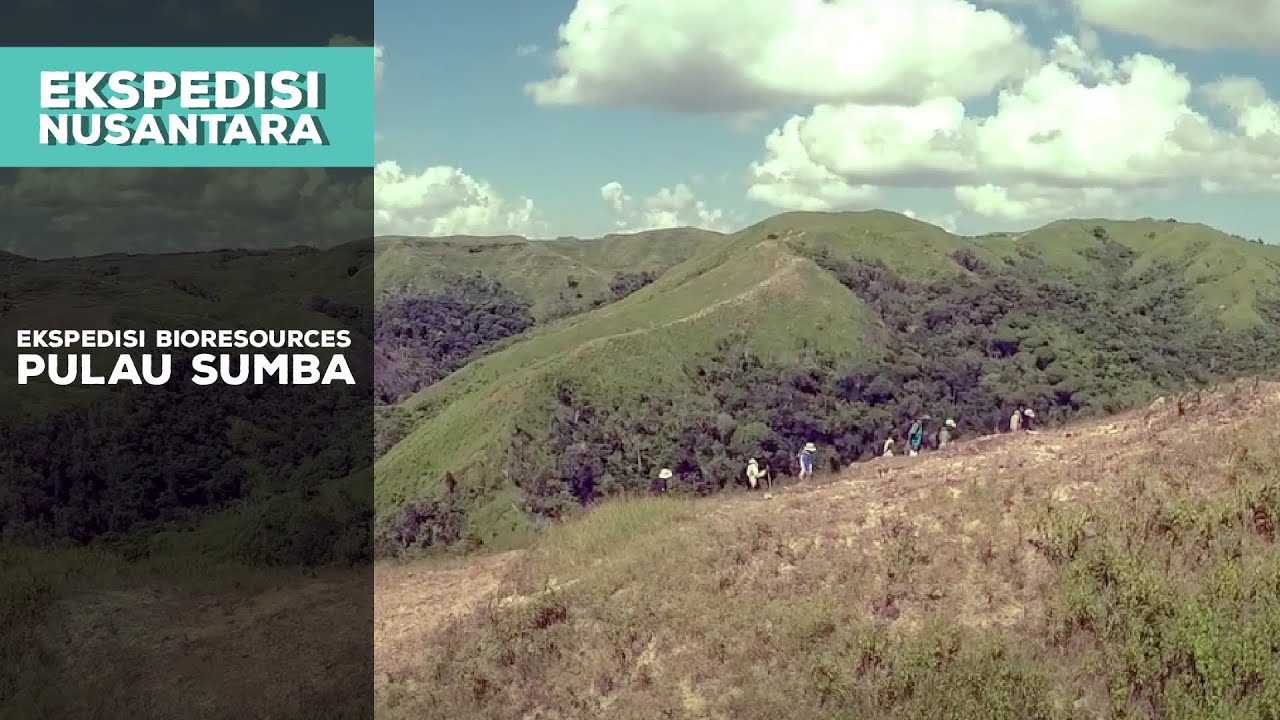 Padang rumput yang ada pepohonan