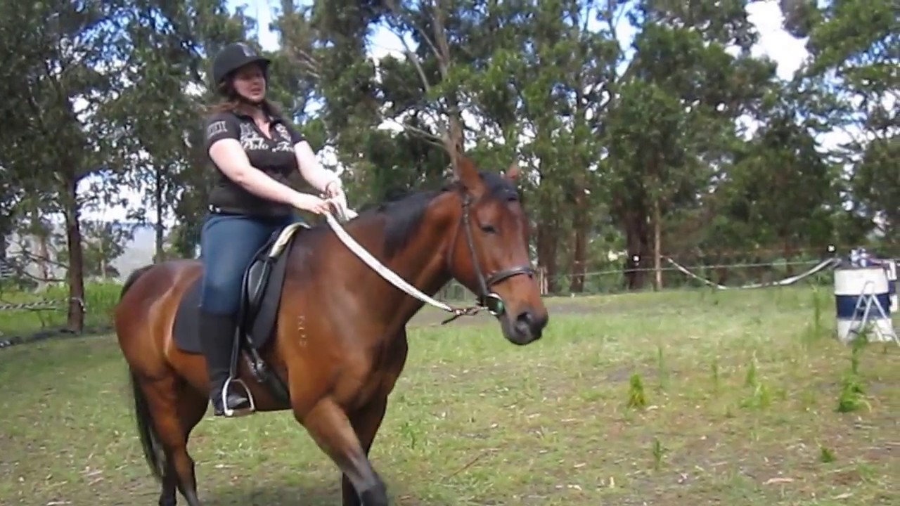 Horse Riding Warm up figure 8 barrels
