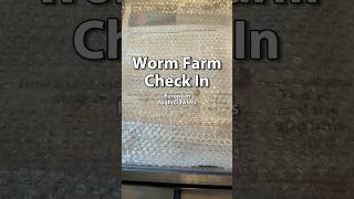 Worm Farming For Beginners | European Nightcrawlers   #vermicomposting